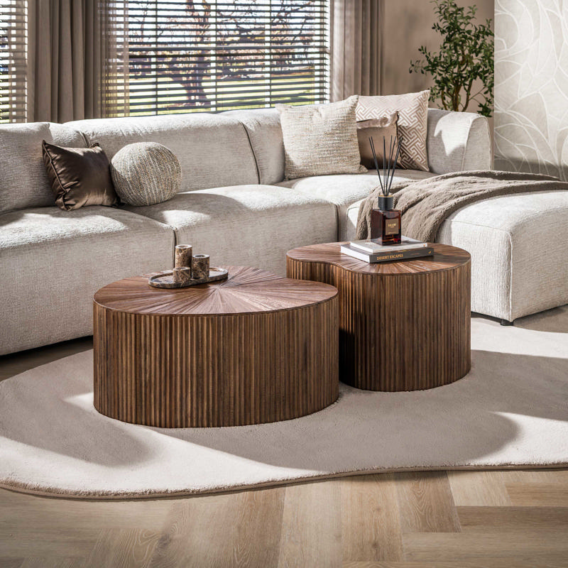Salontafel Fenvo niervormig set van 2