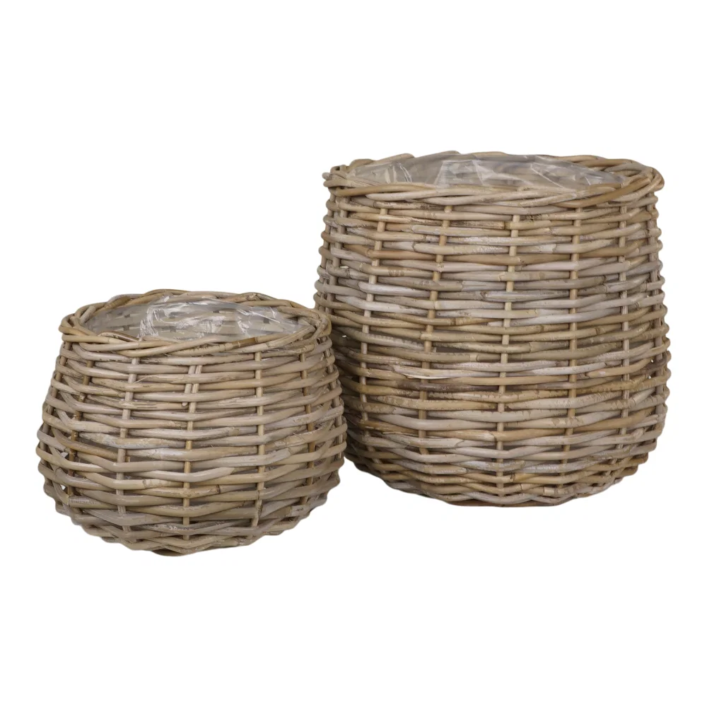 Mand Olto kubu rotan
